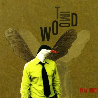 Play Birds by Tim Wood - album cover