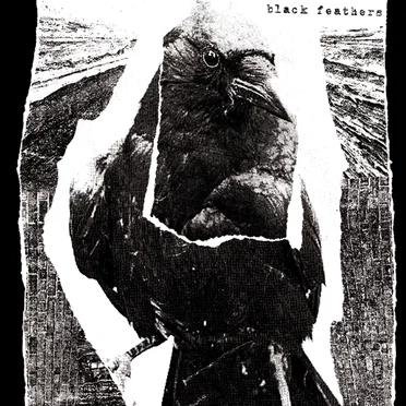 Black Feathers by Shiver - album cover