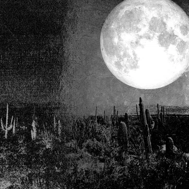 Desert Whispers Through the Dark Tongues