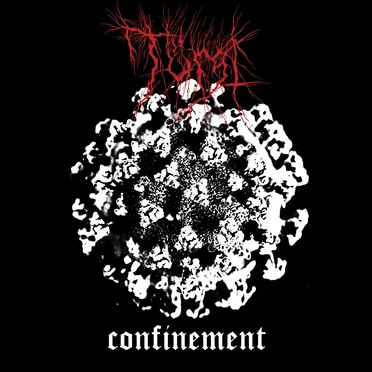 Confinement