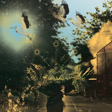 Natural Law by mfp - album cover