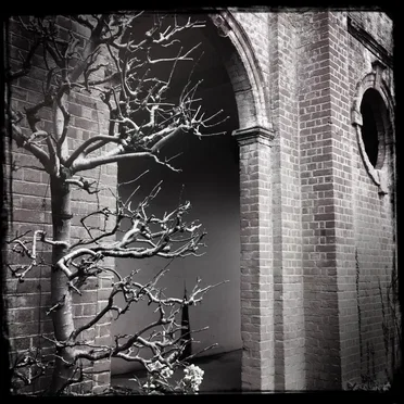 Streams of Consciousness