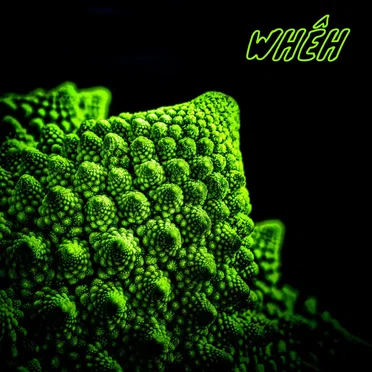 (pronounced ouais) by Whêh - album cover