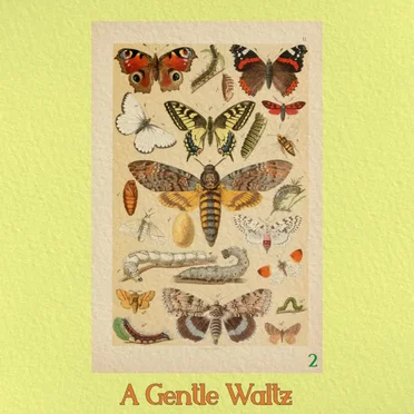 A Gentle Waltz