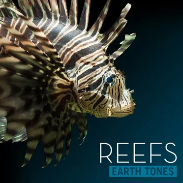Reefs