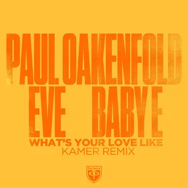 What's Your Love Like (Kamer remix)