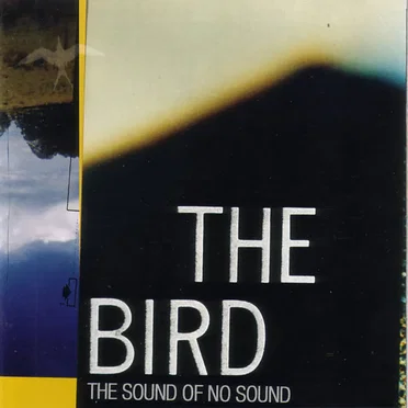 The Sound of No Sound