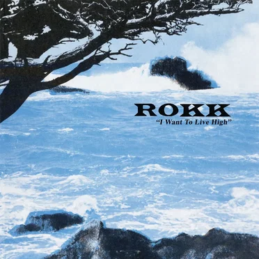 I Want To Live High by Rokk - album cover