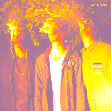 Ave Negra by Ave Negra - album cover