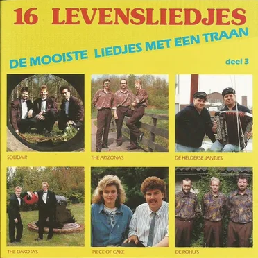 16 levensliedjes, deel 3 by Various Artists - album cover