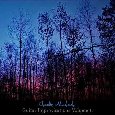 Guitar Improvisations Volume 1.