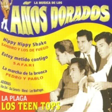 La música de los años dorados: Los teen tops by Various Artists - album cover