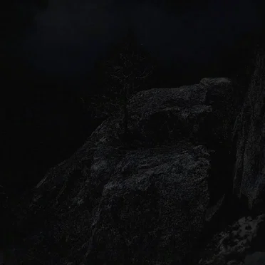 aeternum dolorem