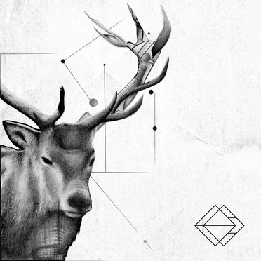 Kolmanteen kiveen kirjoitettu by En kiellä enkä myönnä - album cover