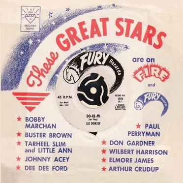 These Great Stars Are on Fire & Fury Records by Various Artists - album cover
