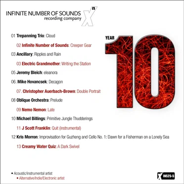 Infinite Number of Sounds Recording Company: Year 10 by Various Artists - album cover