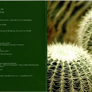 Rare Tracks & Remixes