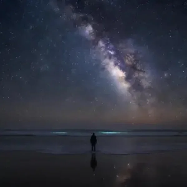 Solitude