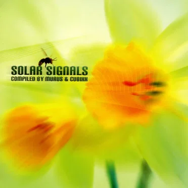 Solar Signals