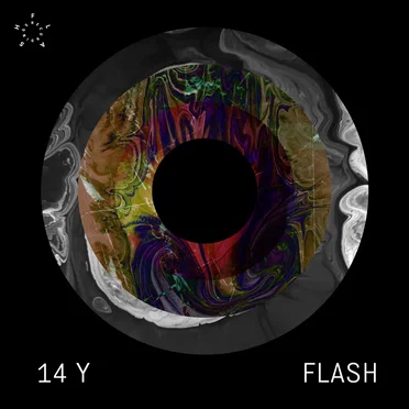 14 Years FLASH Recordings by Various Artists - album cover