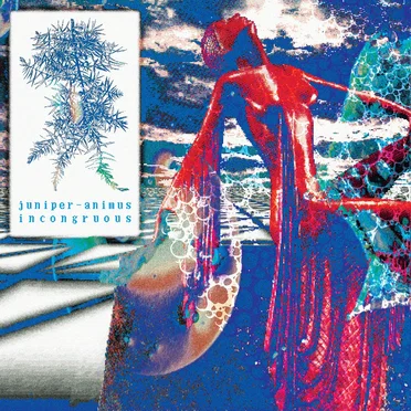 juniper-animus incongruous