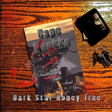 Cape Meckko by Dark Star Honey Tree - album cover