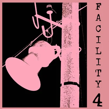 Apparently Solo Volume 2 by The Woodleigh Research Facility - album cover