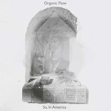 So, In America by Organic Flow - album cover