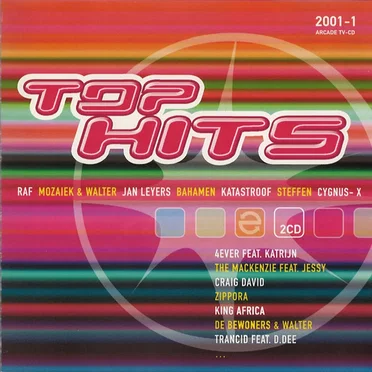 Top Hits 2001 - 1 by Various Artists - album cover