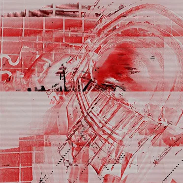 ᵣₑᵥₑᵣₛₑ Bₑₐᵣ ₜᵣₐₚ