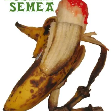 Euskal semea by Josetxo Grieta - album cover