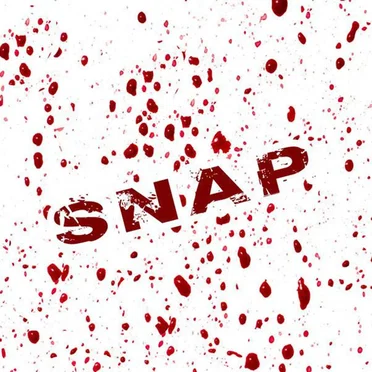 Snap by My Fate - album cover