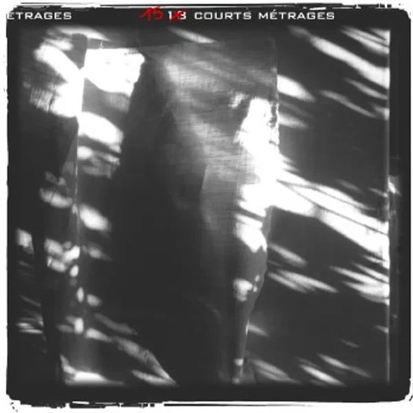 15 courts-métrages