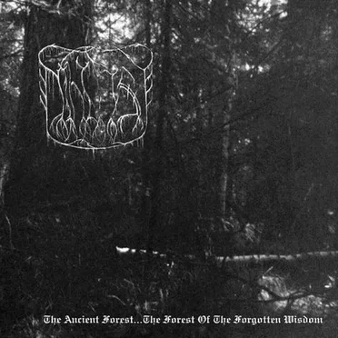 The Ancient Forest... The Forest of the Forgotten Wisdom