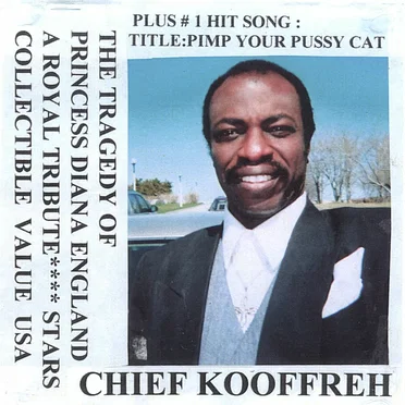 Pimp Your Pussy Cat
