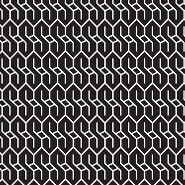 ROOKIE by Black Kids - album cover