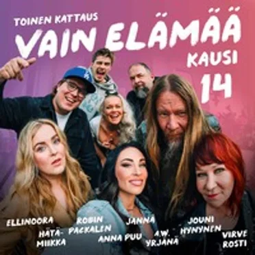 Vain elämää - Kausi 14: Toinen kattaus by Various Artists - album cover