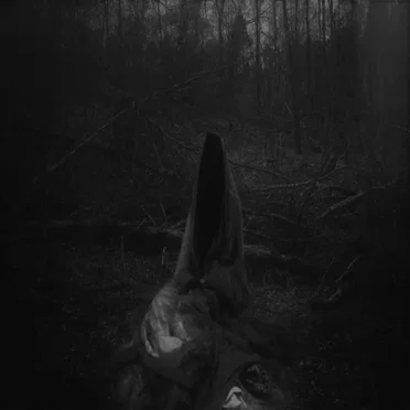 Solivagant Ghost of Cimmerian Woods