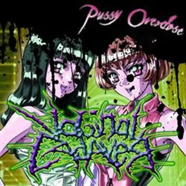 Pussy Overdose by Vaginal Cadaver - album cover