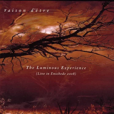 The Luminous Experience (Live in Enschede 2008)