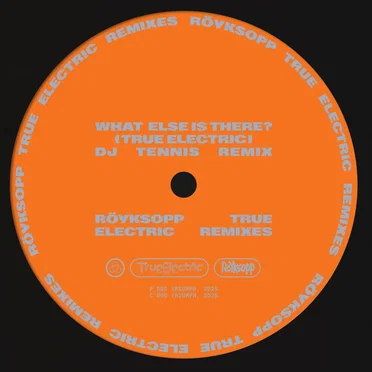 What Else Is There? (True Electric) (DJ Tennis remix)