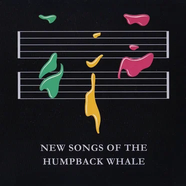 New Songs of the Humpback Whale