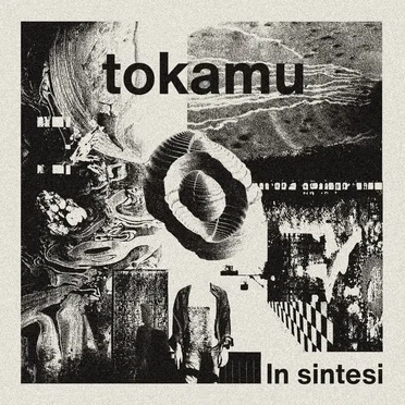 In Sintesi (2020) by tokamu - album cover