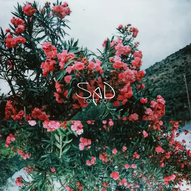 Don't Go by SaD - album cover