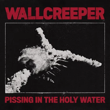 Wallcreeper