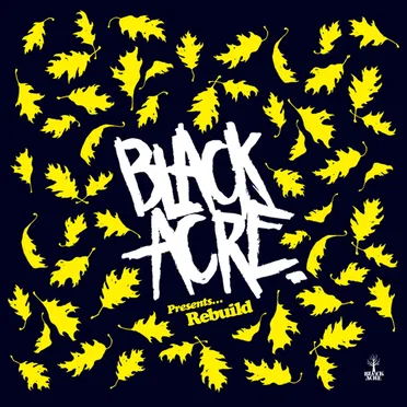 Black Acre Presents Rebuilds by Various Artists - album cover