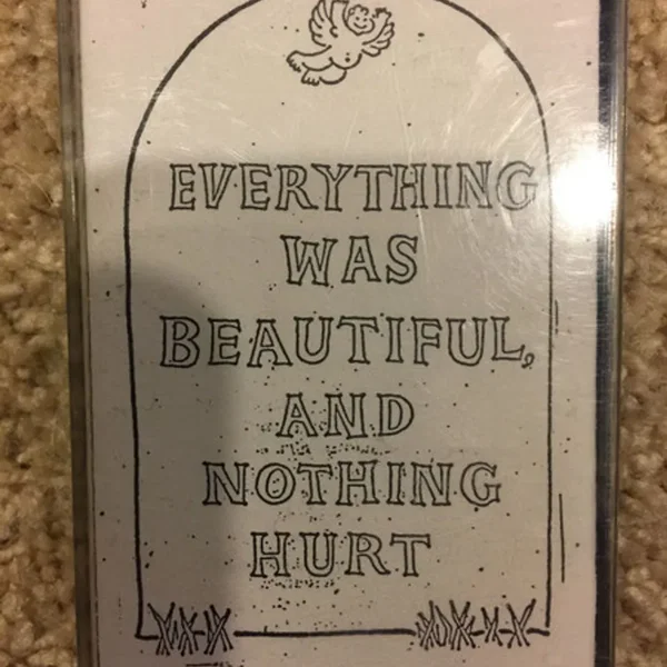 Everything Was Beautiful And Nothing Hurt