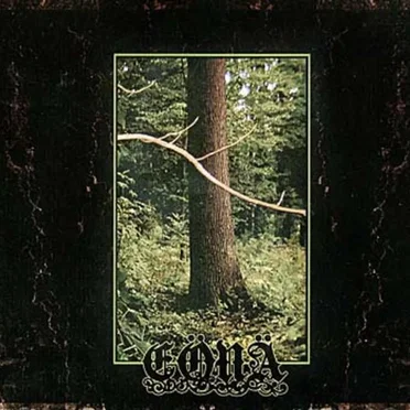 Croyances éternelles by Eönä - album cover