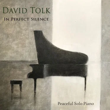 In Perfect Silence by David Tolk - album cover