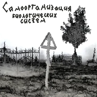 Деструктивное время by Самоорганизация Биологических Систем - album cover